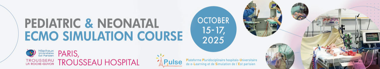 Pediatric ECMO Simulation