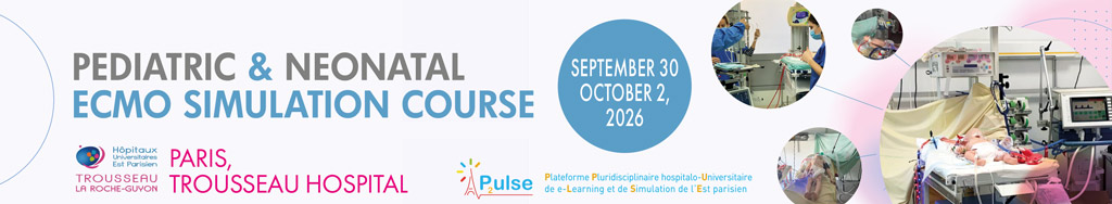 Pediatric ECMO Simulation